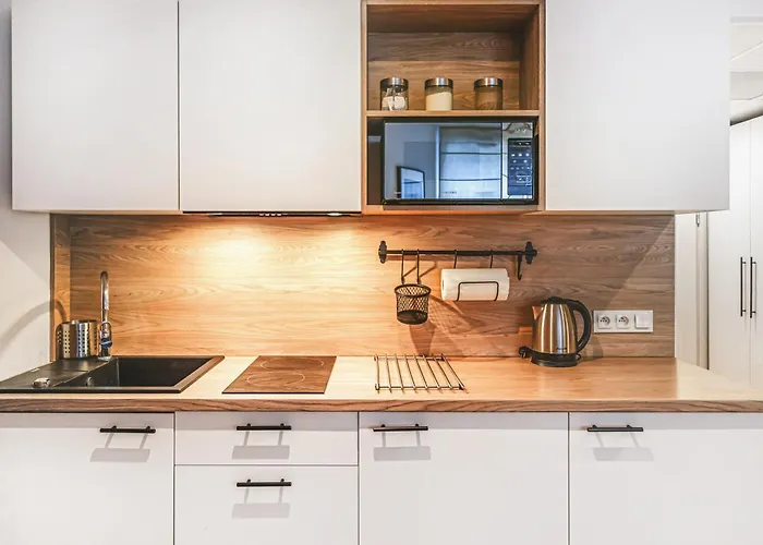 Lejlighed Komfort W Centrum Z Klimatyzacja Wrocław